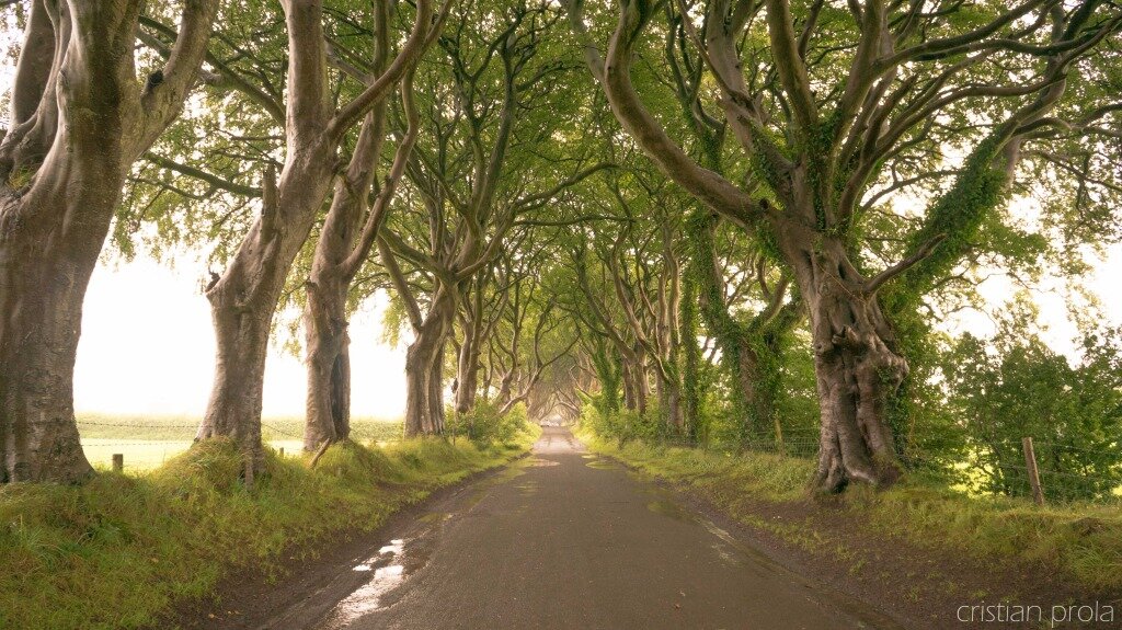 The Dark Hedges, Irlanda del Nord