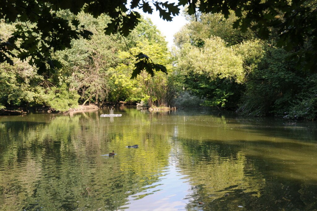 Parco del Ticino, natura incontaminata